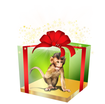 Шоу обезьянки